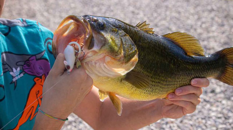 Missouri Bass Fishing