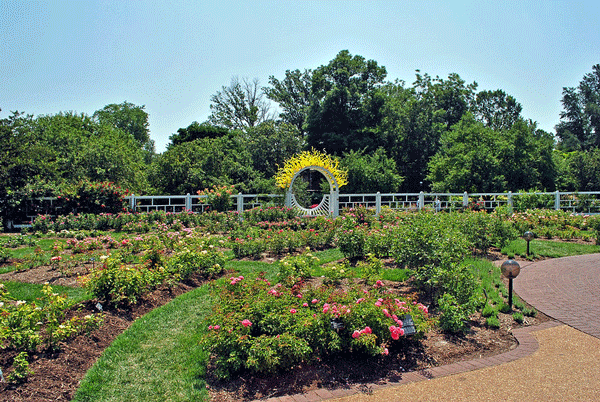 visit to the Missouri Botanical Garden