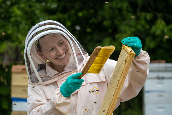 Bee Queen Management