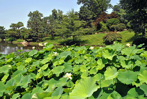 Center for Conservation and Sustainable Development