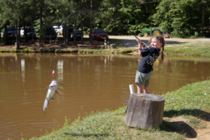 The Ultimate Guide to Missouri Catfish Fishing: Tips, Techniques, and