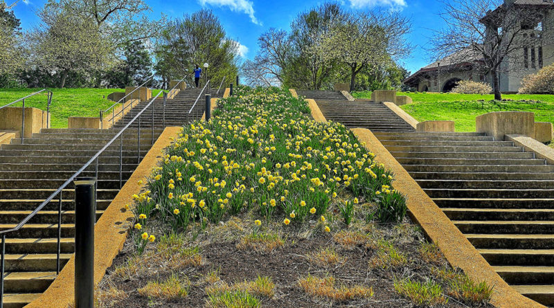 Forest Park St Louis MO